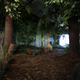 Illustration for article titled Indoor Forests Are Eco-Chic Home Accessories for a Deforested World